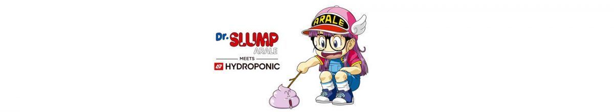 Kulture Skate Shop